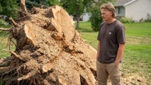 How a 28-Year-Old Built a $26K/Month Stump Grinding Business