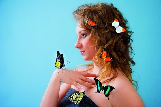 Exciting Business Idea: Exhibition and Sale of Live Tropical Butterflies