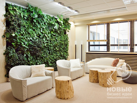 Business Idea: Creating and Maintaining Living Plant Walls