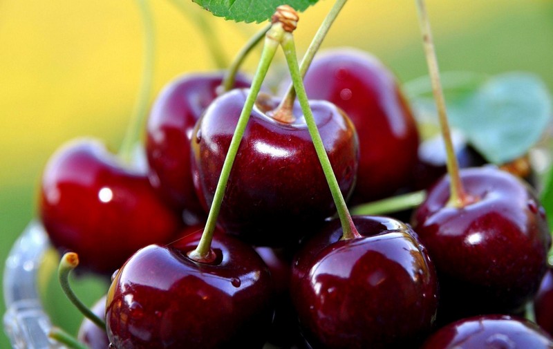 Successful Farming: Turning a Cherry Orchard into a Lucrative Business