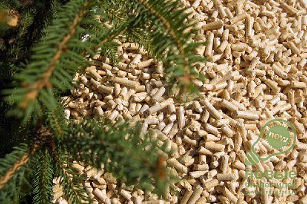 Business for the Environment - Production and Export of Pellets, the Future of Biofuels