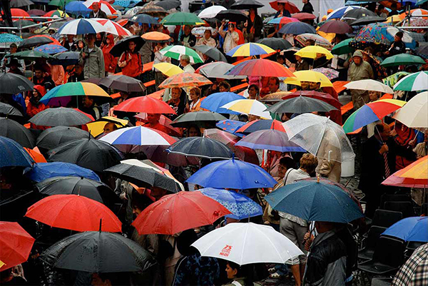 Business Idea: Umbrella Manufacturing