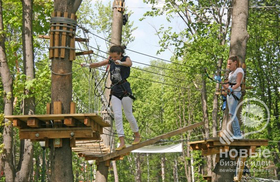 Business Venture: Launching a Ropes Course