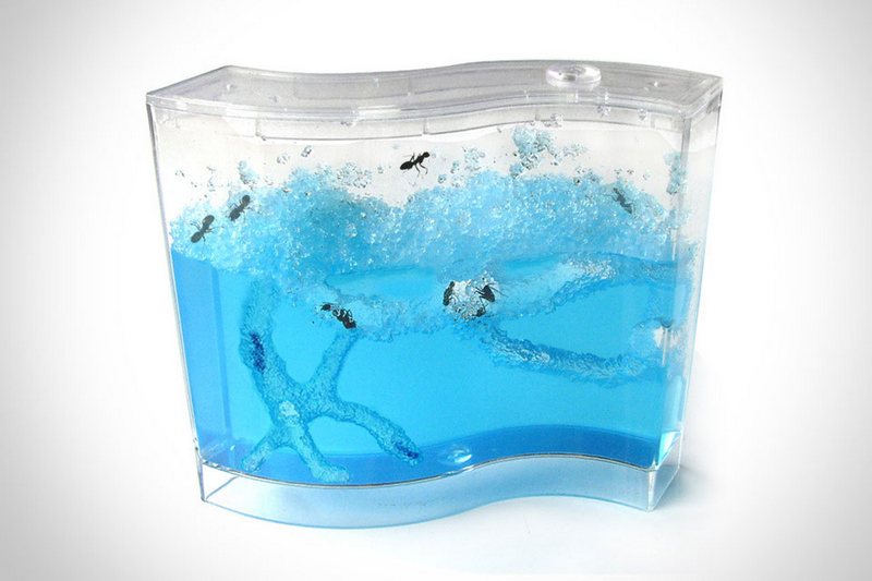 Children's Product: Ant Farm